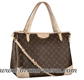 LOUIS VUITTON 륤ȥΥࡦХM41231 ȥ졼GM